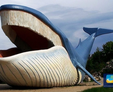 Ocean Park we Władysławowie to miejsce dla tych, którzy chcą poczuć jak wygląda spacer po dnie oceanu.