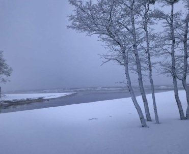 Zimowy krajobraz ujścia Piaśnicy